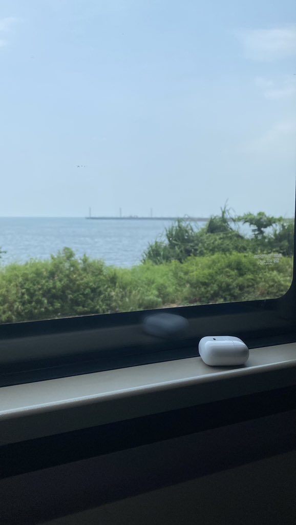 🐬li tweet media