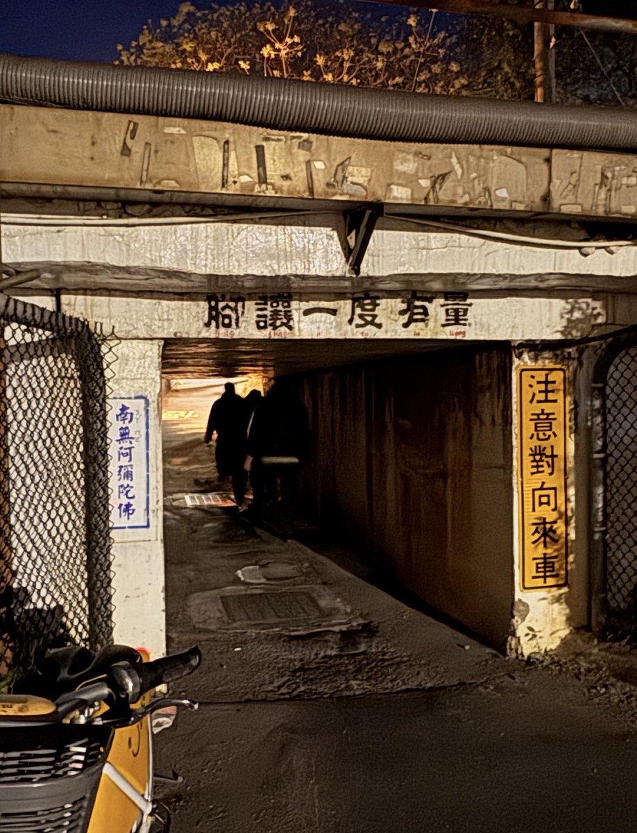 だむますたぁー@にゃーんw tweet media