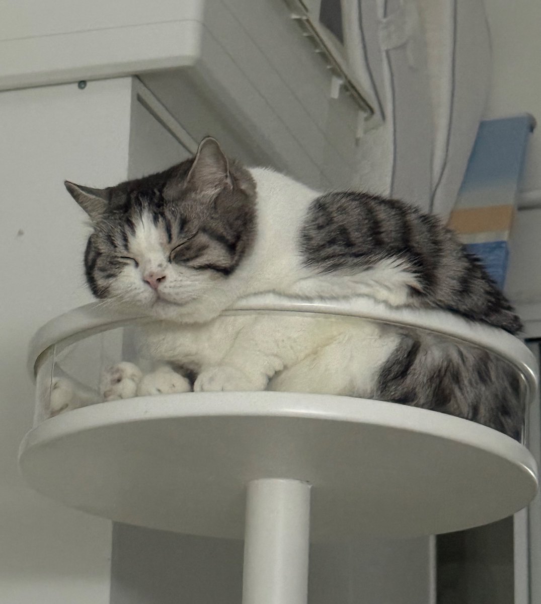 มะคืนมาเหยียบยายจนยายตื่นแล้วนอนไม่หลับอีกเลย ส่วนคนเหยียบกลับไปนอนแซ่บ!!