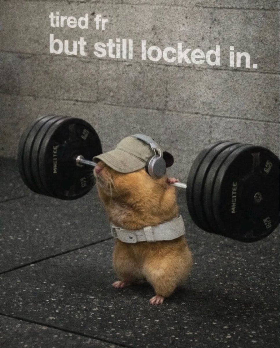 ใๅใ๐ tweet media