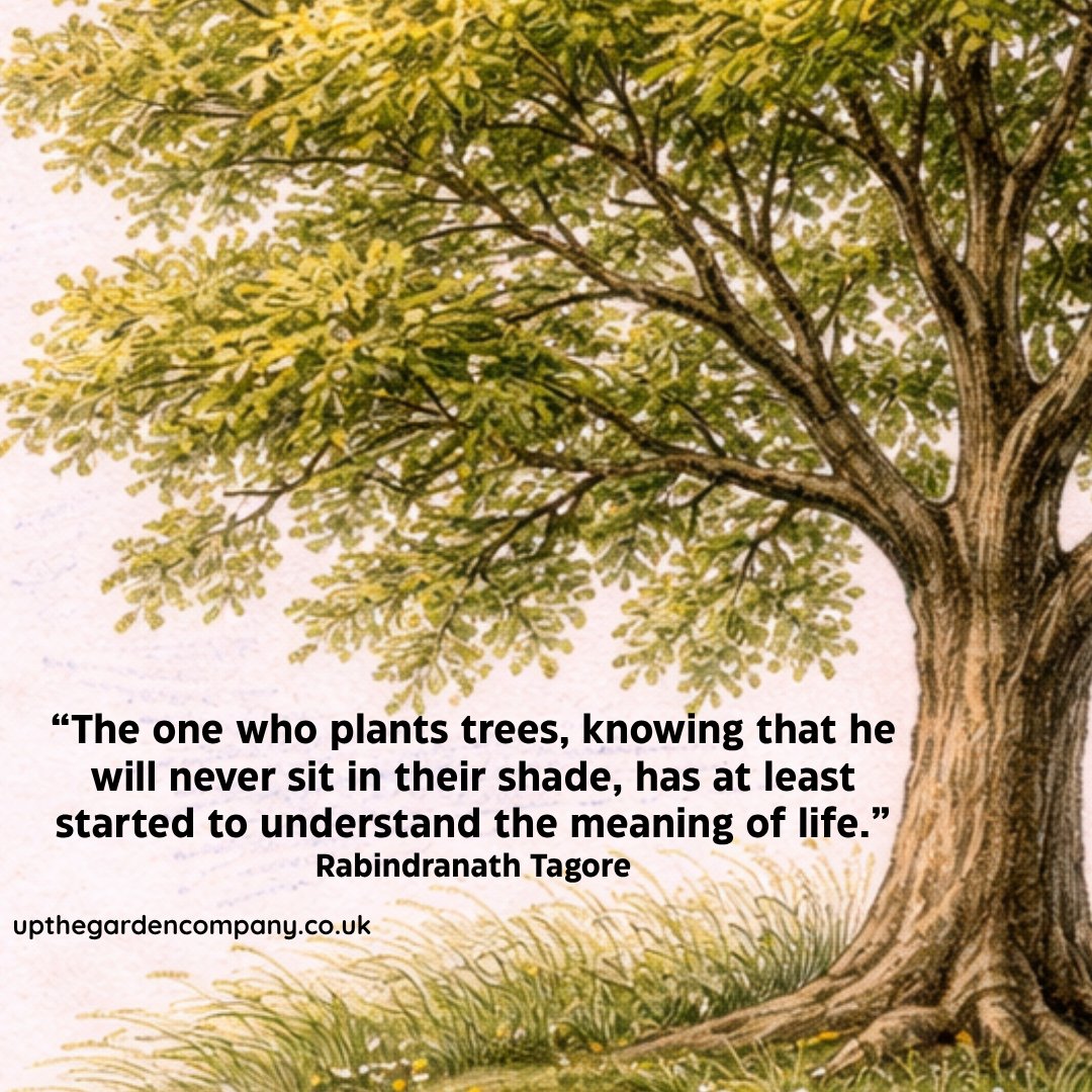UpTheGardenCo's tweet image. Every seed, every tree, every small act of care adds something lasting to the landscape.
🌿 upthegardencompany.co.uk

#PlantATree #GardenWithPurpose #GrowYourOwn #SustainableLiving #LegacyPlanting #NatureConnection #SlowLiving #GardenLife #GreenSpaces #ForTheFuture #TreePlanting