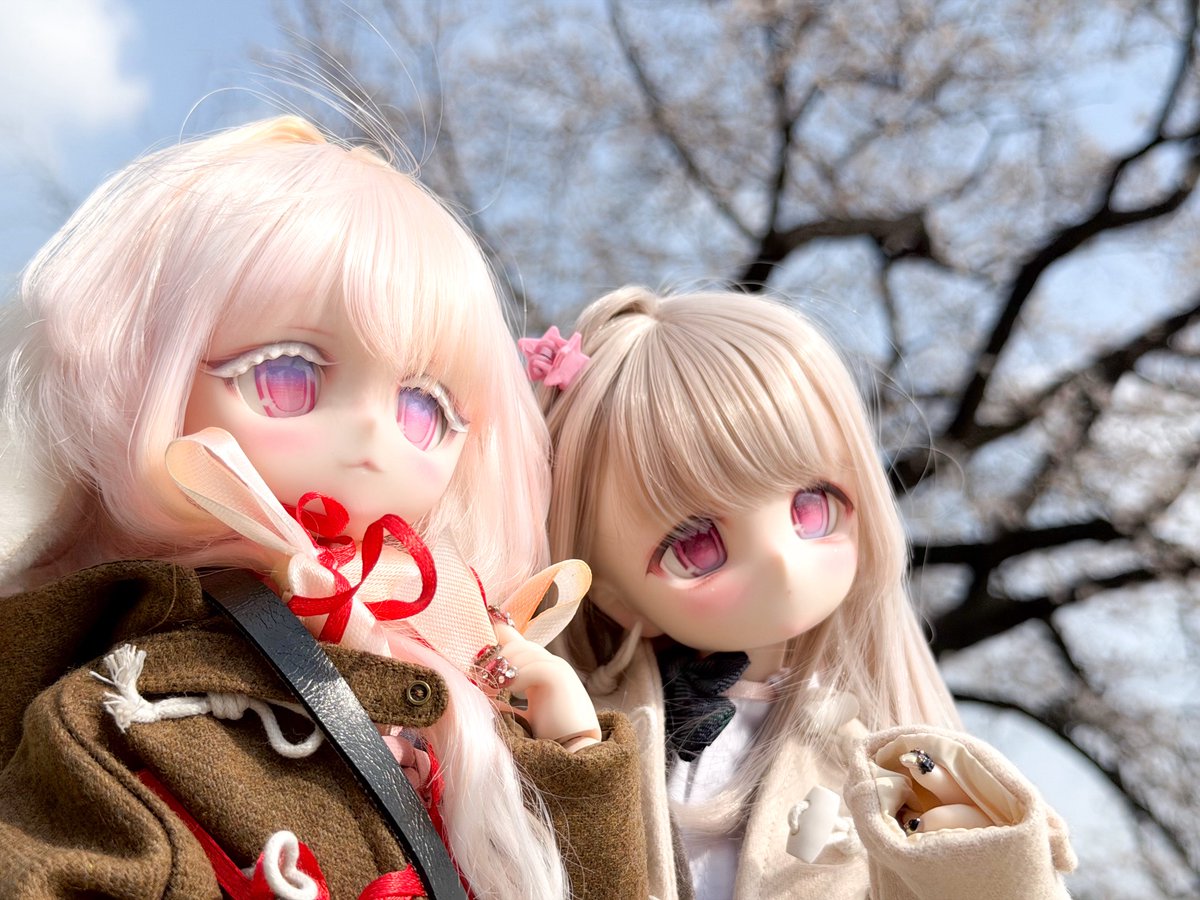 くらげうみ。🪼🌊駒海神事店　ヤフオク中 tweet media