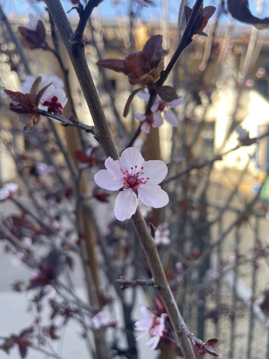 Gauche 🤖 tweet media