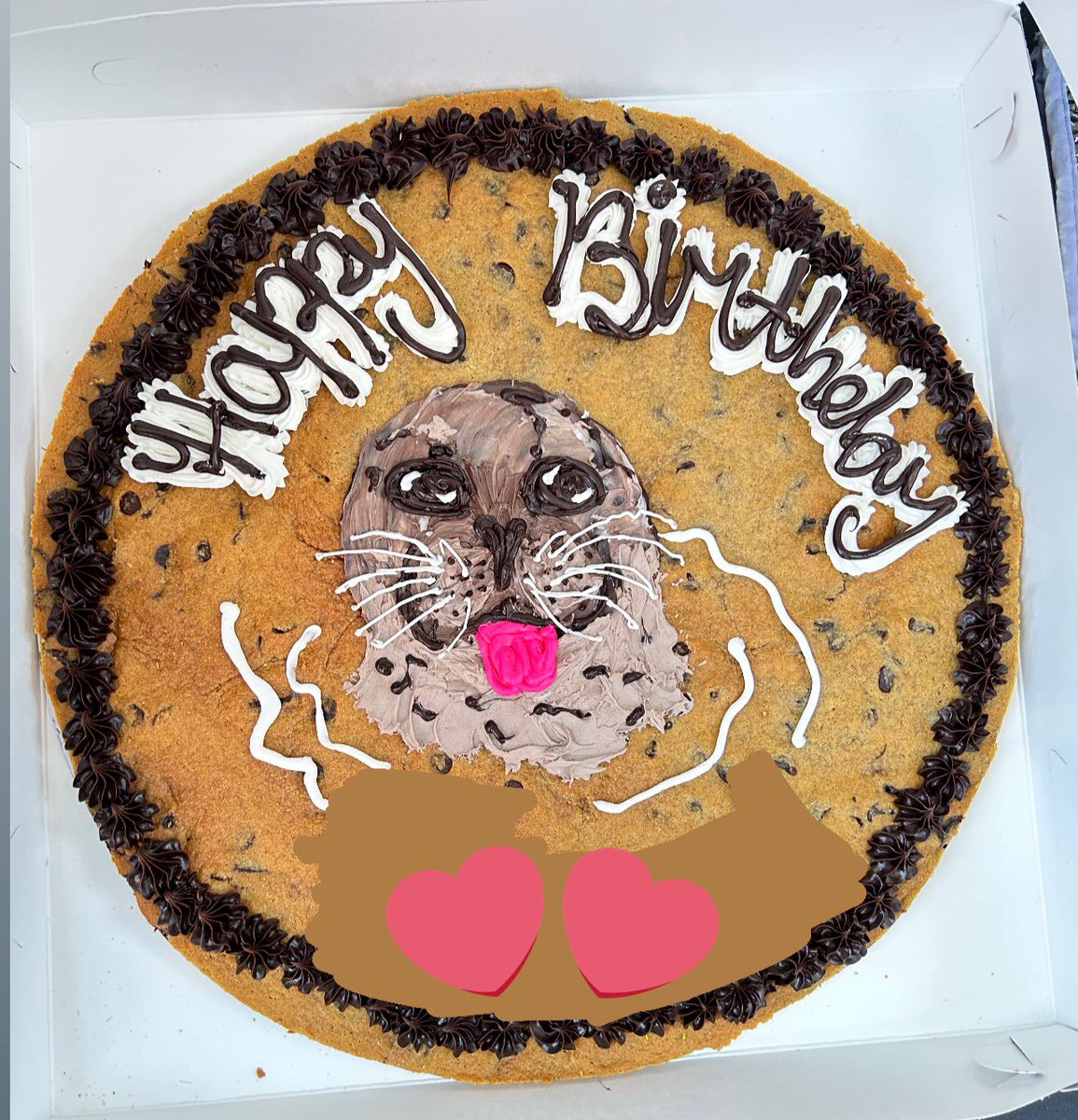 Reivus 🦭 tweet media