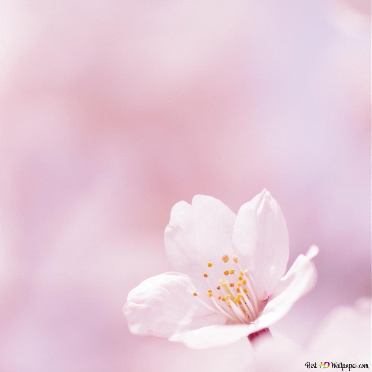 Fourth Way Tweets tweet media