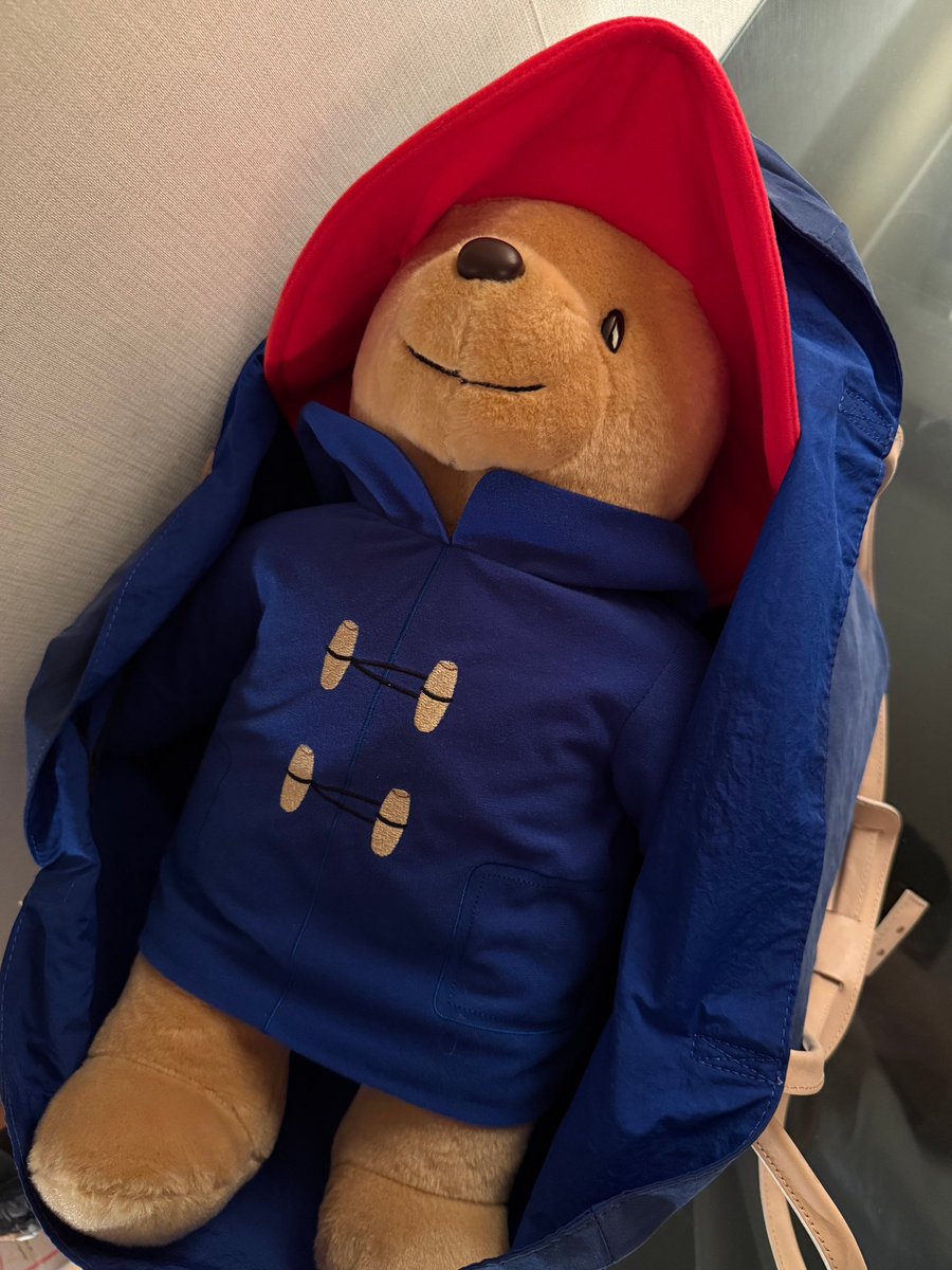 리오원 tweet media