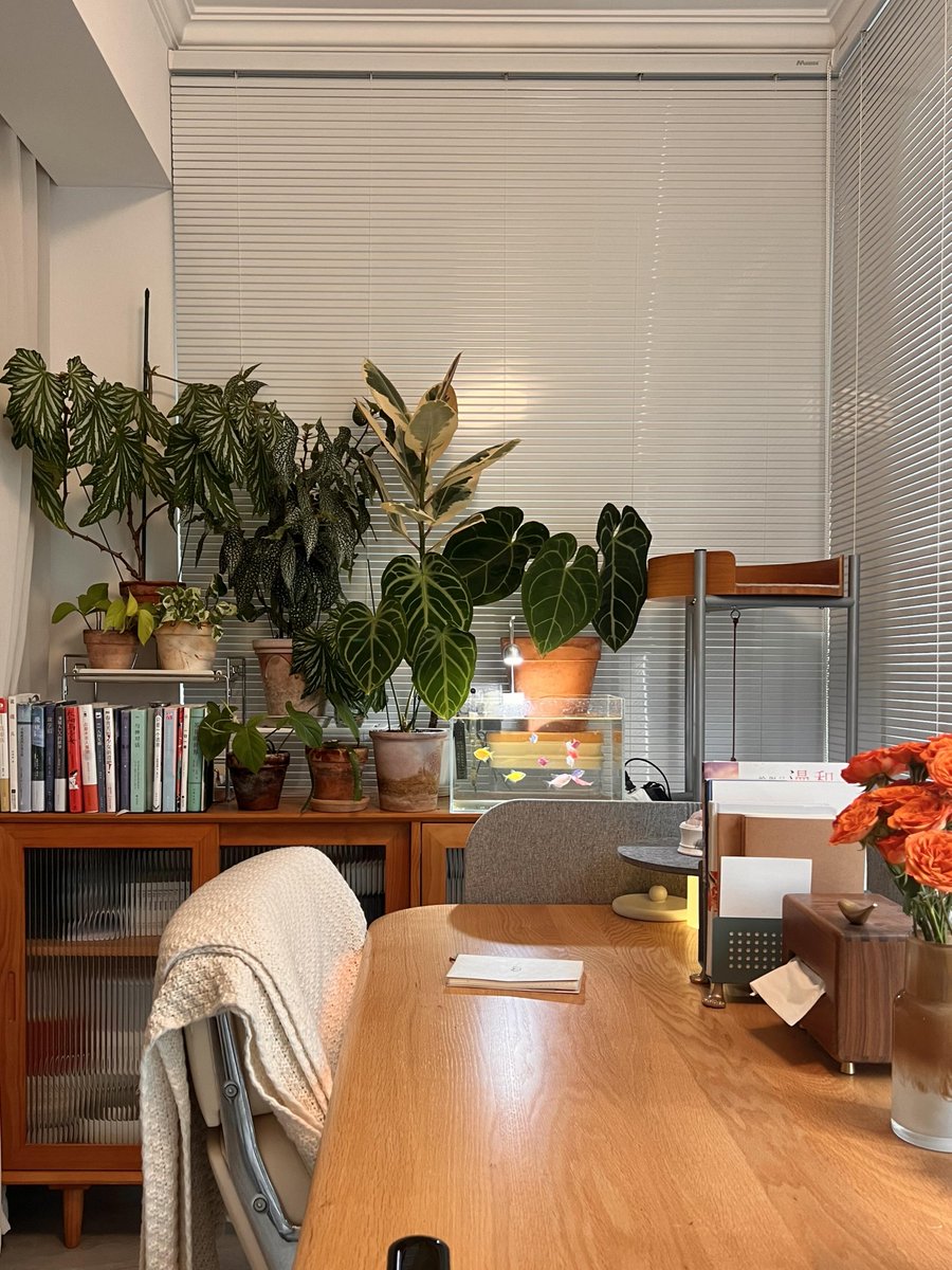 Phisit Buranatanyara tweet media