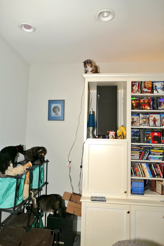 Ray Radlein tweet media