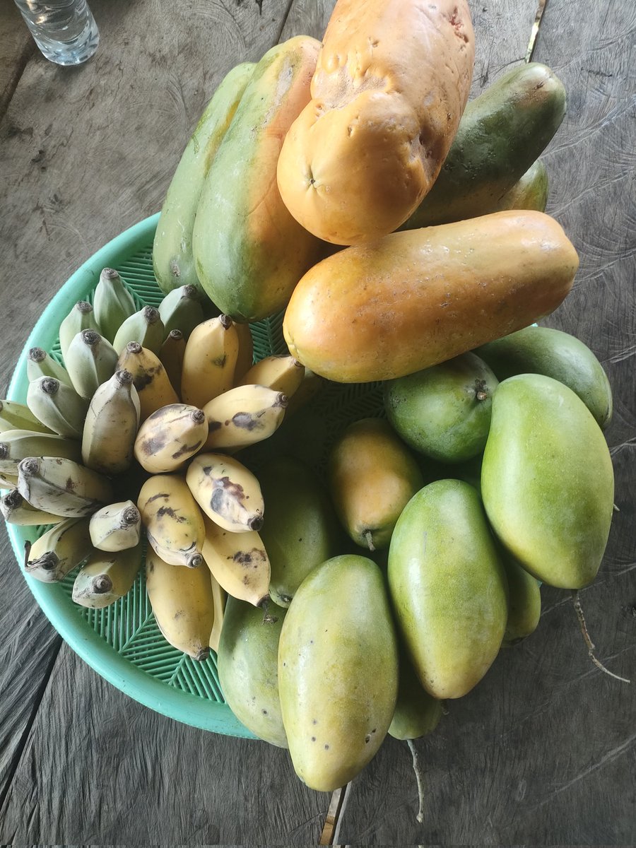 ម្ចាស់ចំការ Farmer tweet media