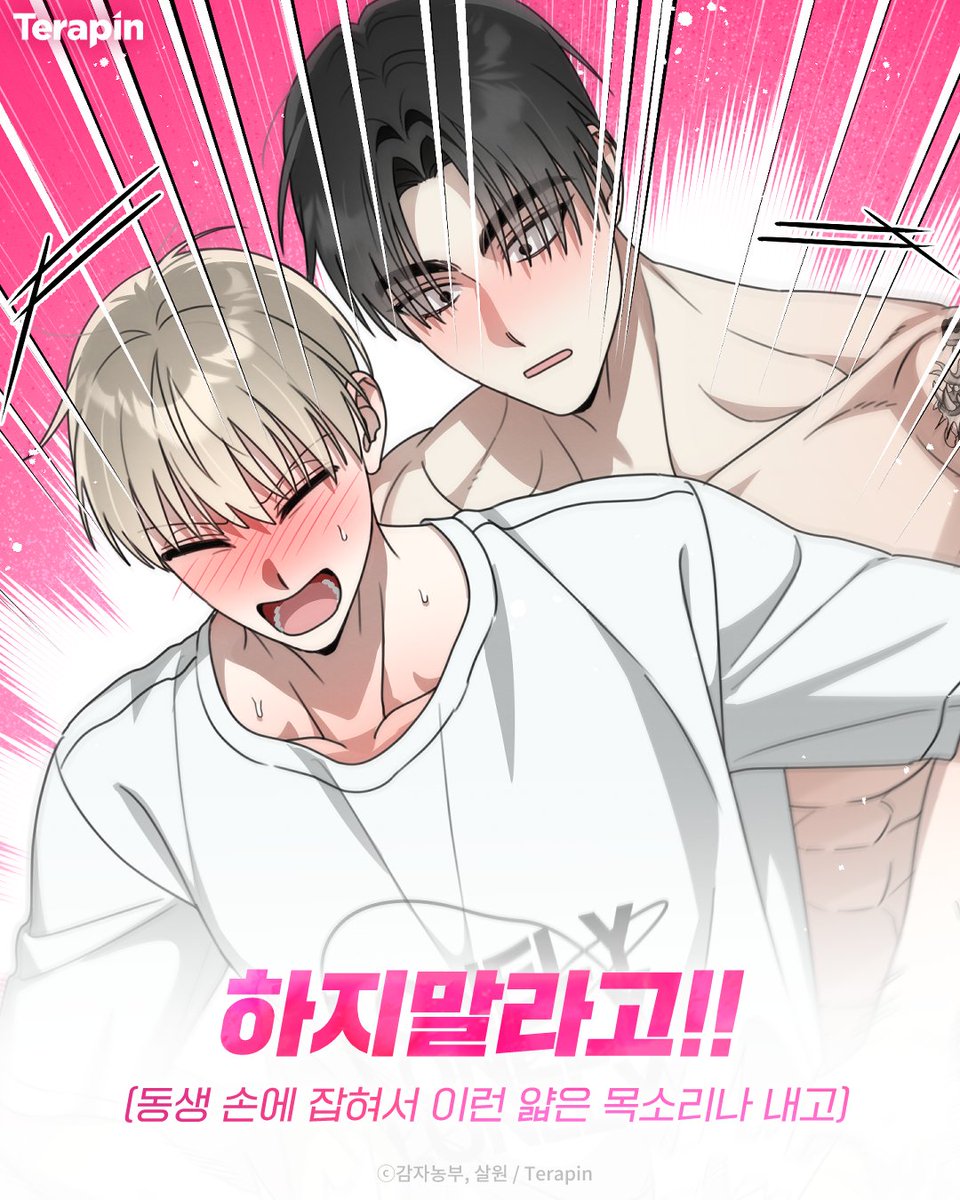 테라핀 웹툰 tweet media