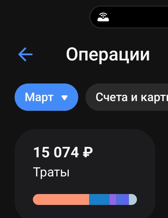 Кот лета tweet media