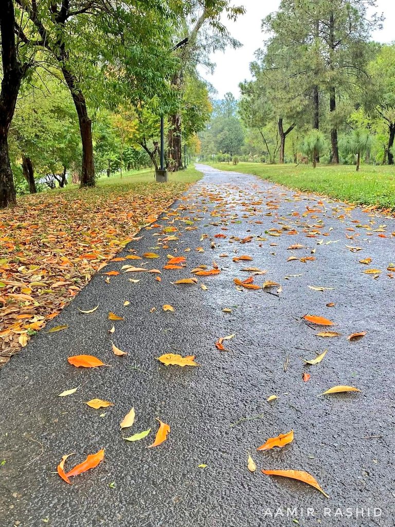 Pakistan Tourism tweet media