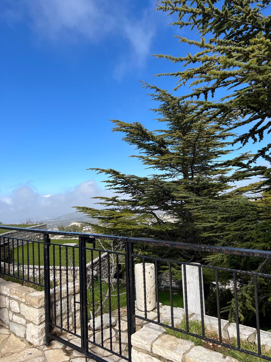 Marie Nassar tweet media