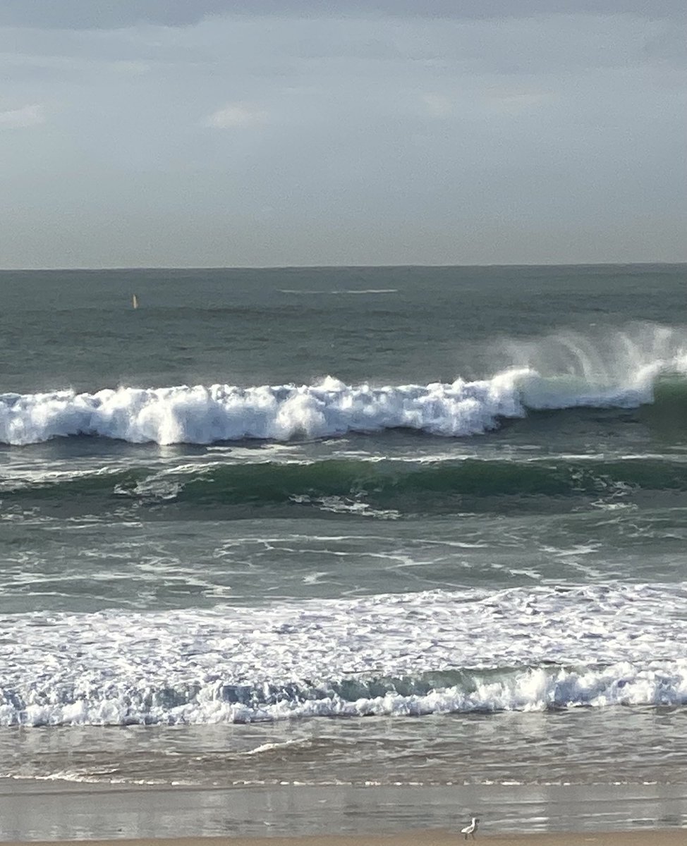 KHelsham's tweet photo. Still swell left at Bondi this morning but we got out and swam across the bay. https://t.co/khSuqVHMnm