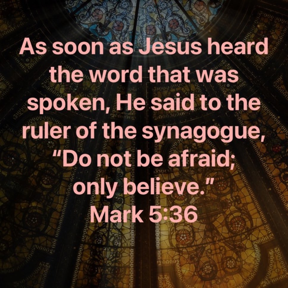 NBAflash2wovibe's tweet photo. Shalom verse of the day.I'm not ashamed of the gospel of Christ Jesus to spread the gospel of the father words❤️✌️🦁⚔️✝️🌏💯✅#fearlesslife #fearlessliving #GodsAnointed #fullofgodgrace #godfirst💯👼 #fypシ゚viralシfypシ゚ https://t.co/KlCLvdSQRx