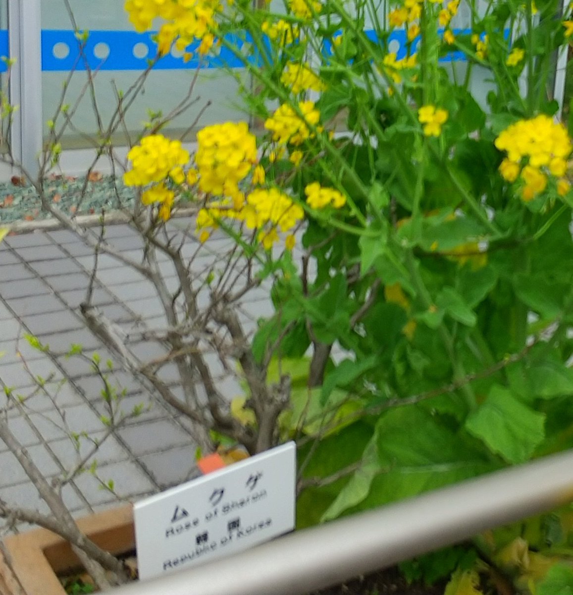 蒼チャリ🚴長崎人 tweet media