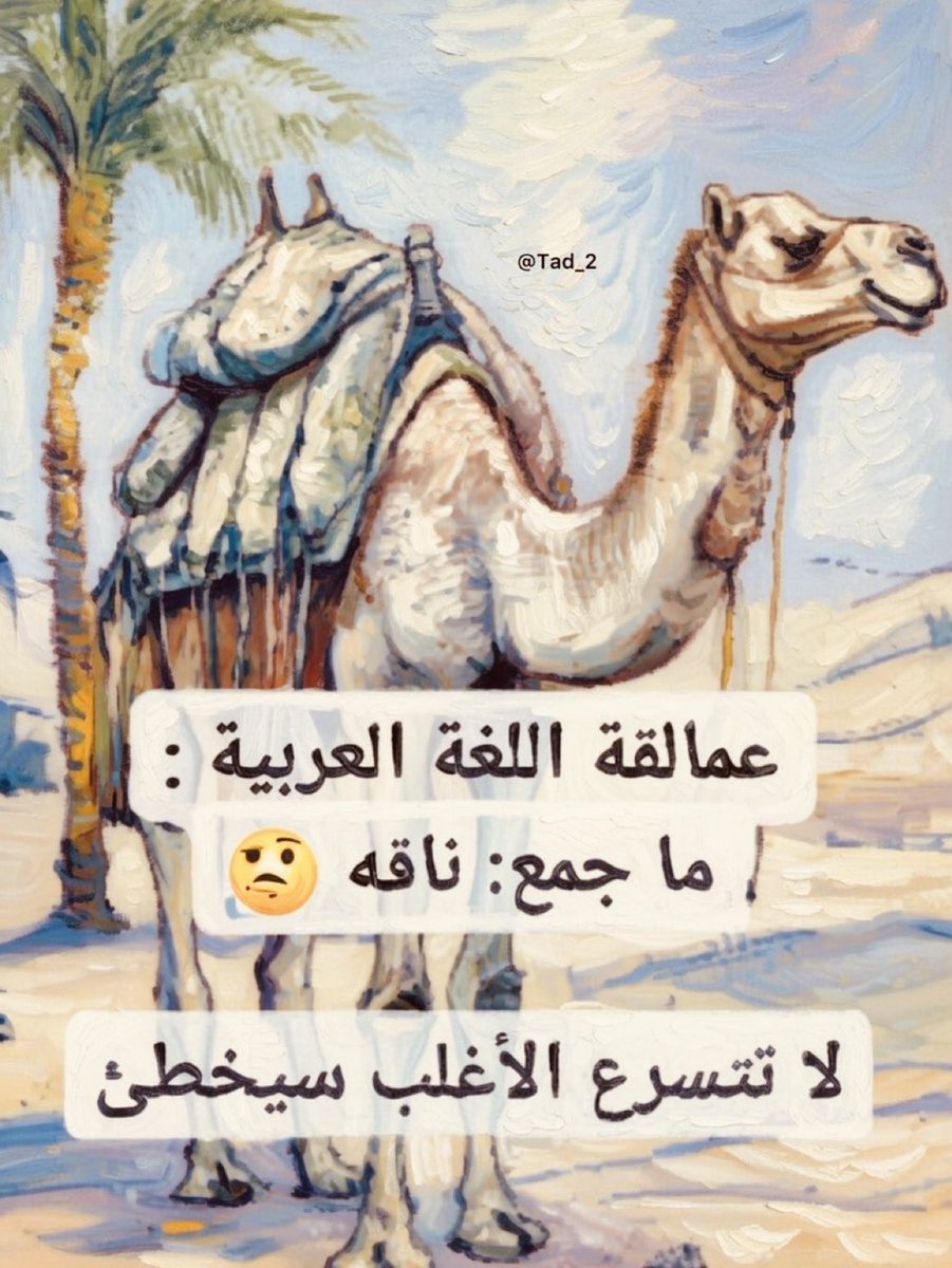 سقراط🌟 tweet media