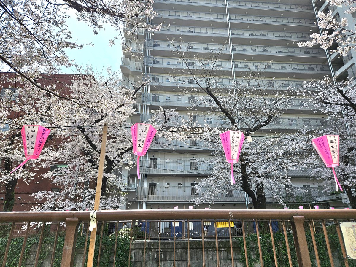 仙台坂 tweet media