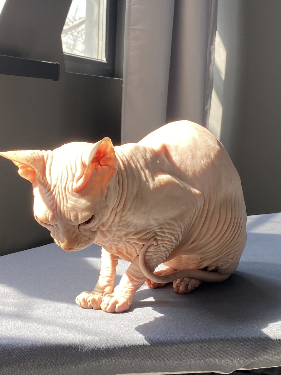 Мои сладуси