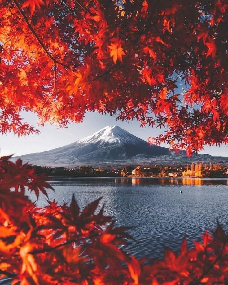 WanderAura 🌍 tweet media