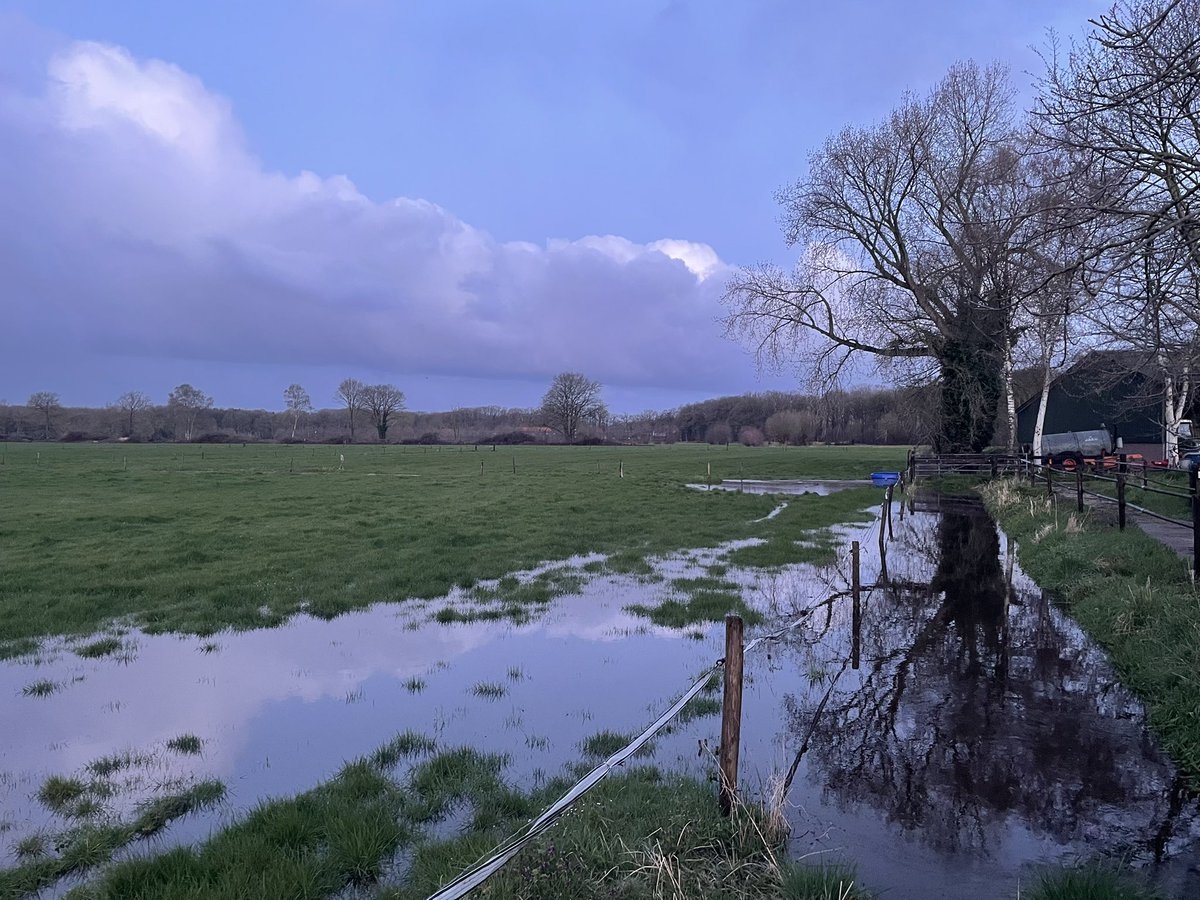 Ben Apeldoorn tweet media