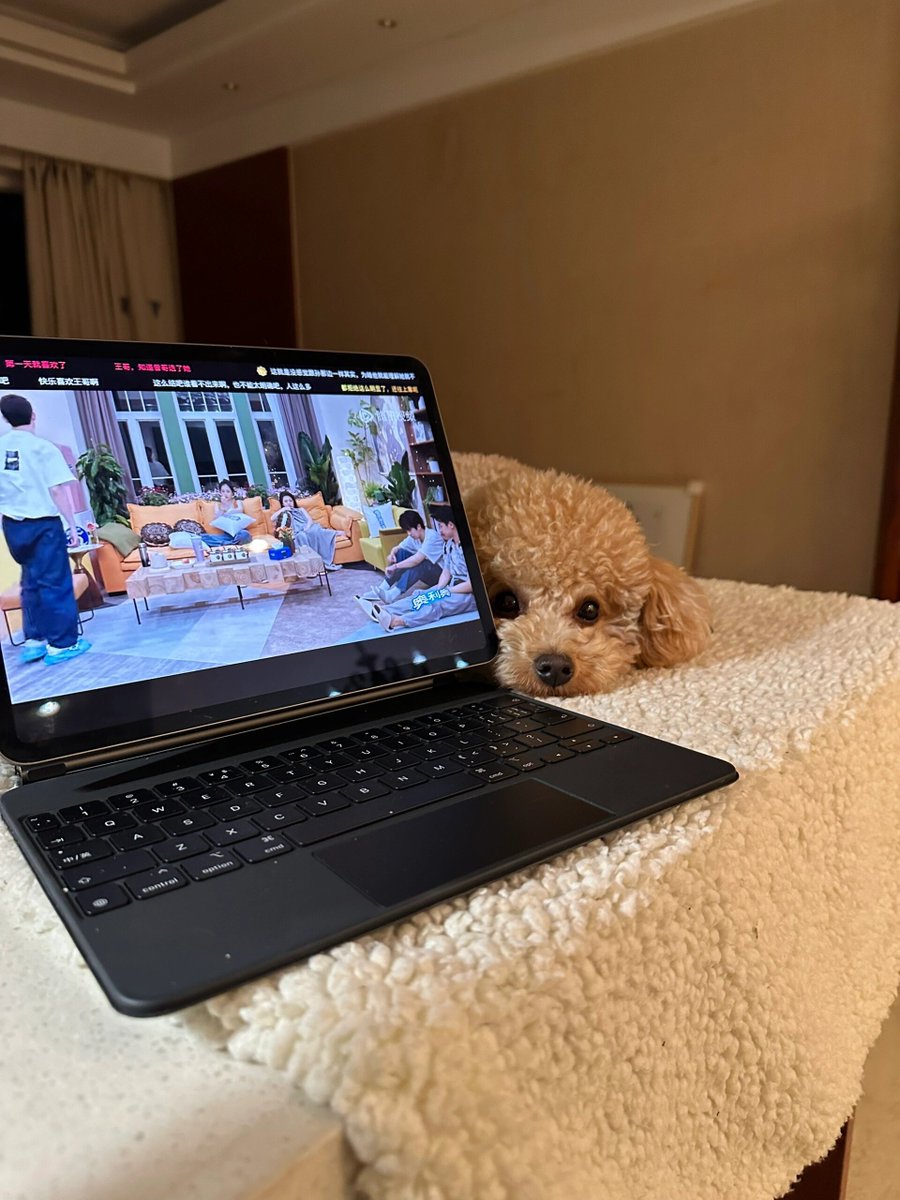 DBGifford's tweet image. When work piles up, your fur baby’s just a cuddle away.  No deadlines, no stress—just purrs (or woofs) and pure joy. Who needs a coffee break when you’ve got a furry sidekick #PetLove #FurBaby #WorkFromHomeWin