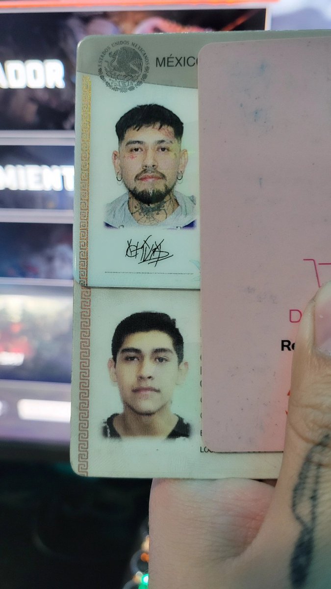 thexctivist tweet media