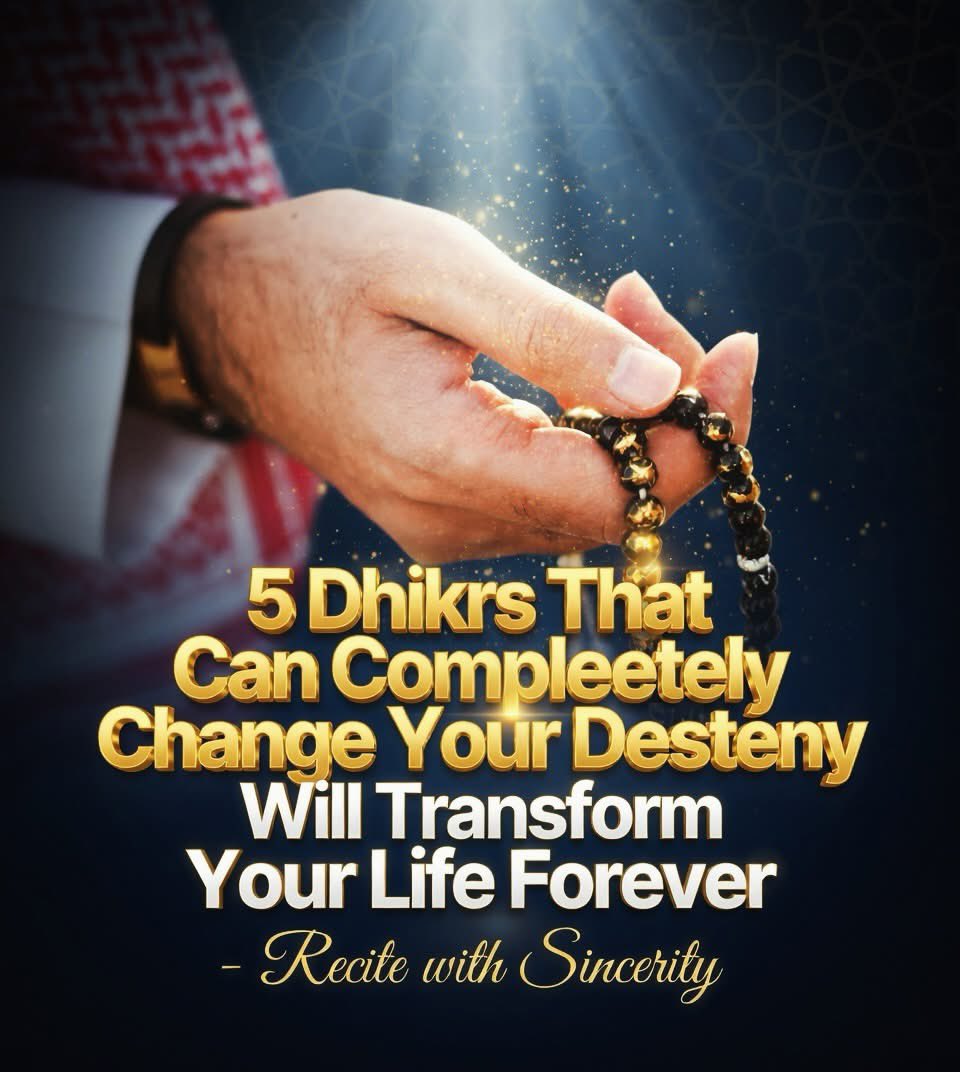 Dua_hub tweet media