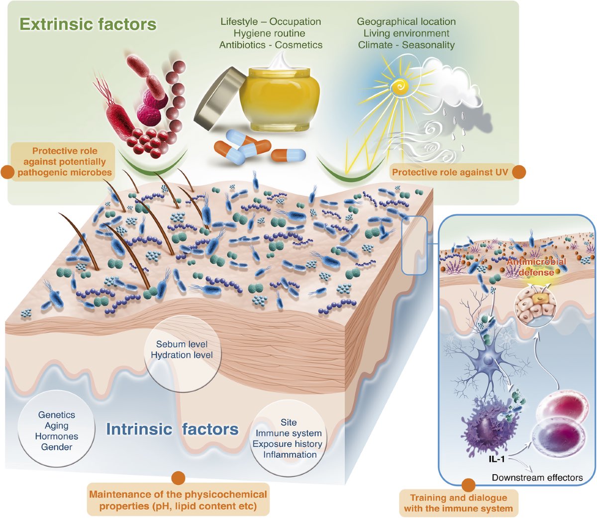 Ayman Alatas tweet media