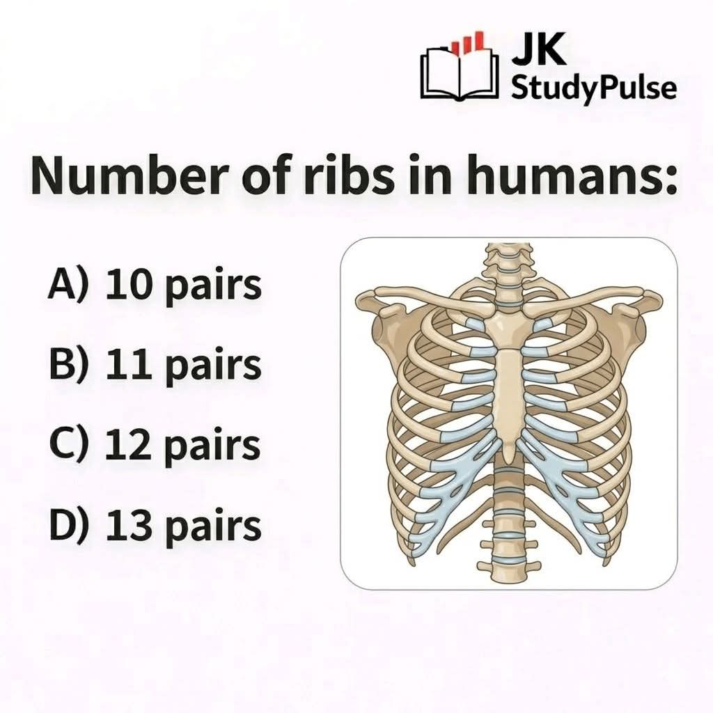 Karangwa David tweet media