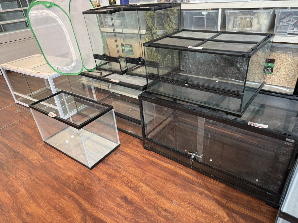 REPTILES TOKYO名古屋店 tweet media