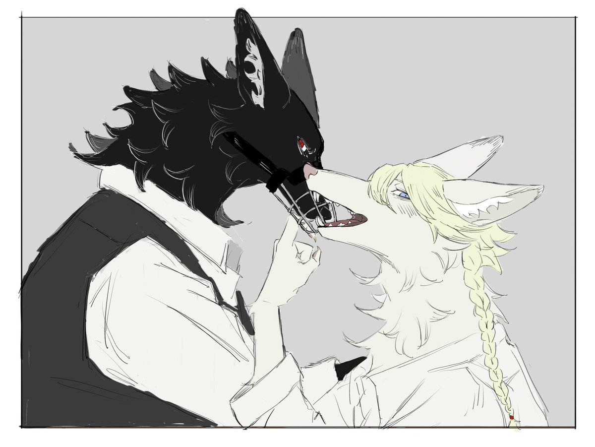 羊の番に狼 tweet media