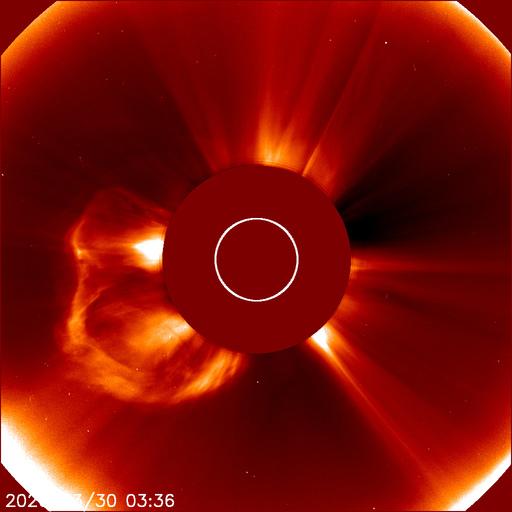 Jure Atanackov tweet media