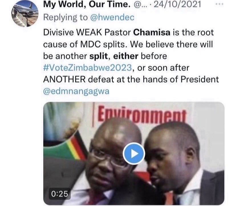 My World, Our Time. tweet media