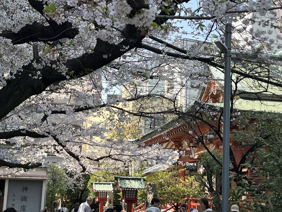 _QuoFataFerunt's tweet photo. 秋葉神社　東京都台東区

さくら詣

境内の桜が開花している期間に頂ける御朱印でこの日はほぼ満開状態🌸
境内は花見で賑わっていました
この桜の花が散ってしまう頃には浅草界隈は お祭ムードに
活気溢れる季節に向かいます

#秋葉神社
#御朱印
#浅草
#上野
#桜 https://t.co/DbzHUpGwNl