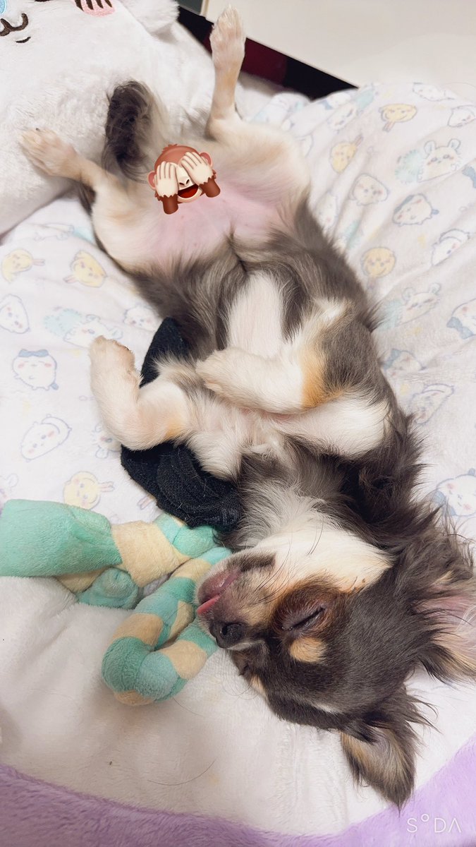 Choco🍻✨ tweet media