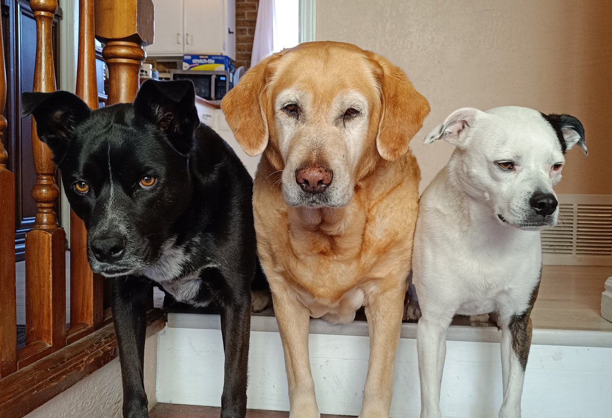 Wignut🫠|| Unusual Mickey Faces tweet media