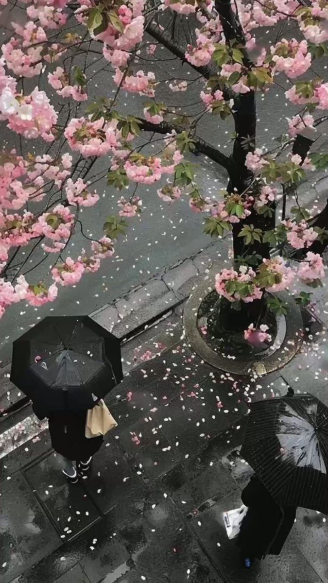 City explorer tweet media