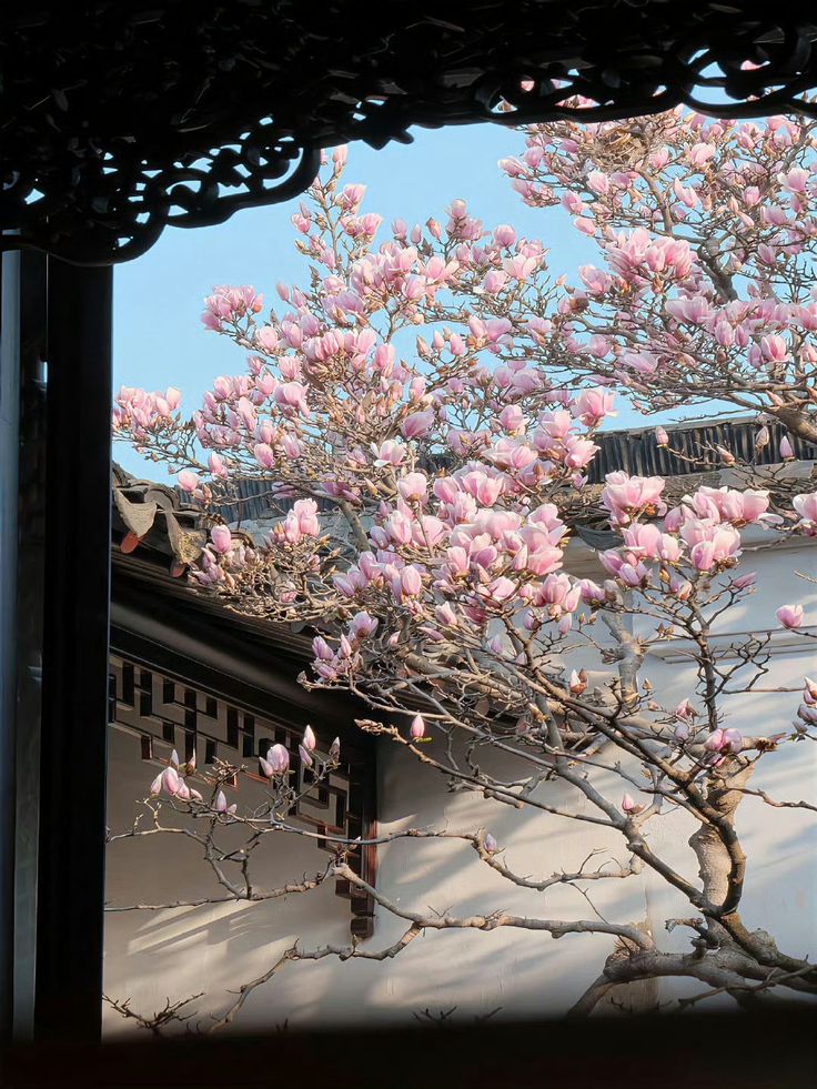 City explorer tweet media