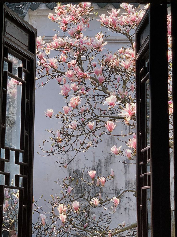 City explorer tweet media