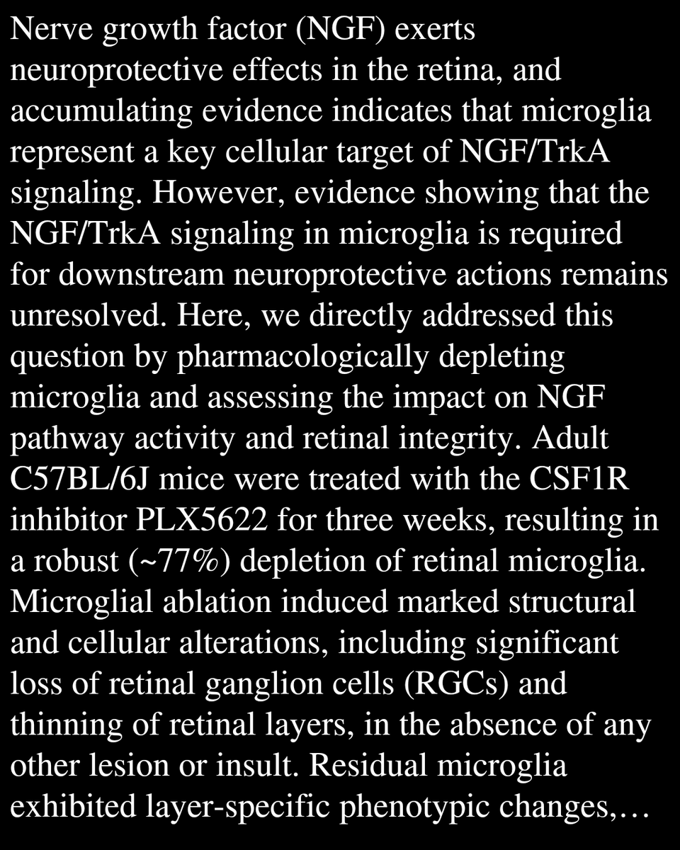PBTQ's tweet photo. Loss of microglia reduces NGF signaling and retinal ganglion cell survival

Buccarello, L., Ribbeni, G., Ricceri, L., Livero, O., Cattaneo, A., Mariinelli, S.
https://t.co/7EuCbKxZVS https://t.co/PWPOuX3dJY
