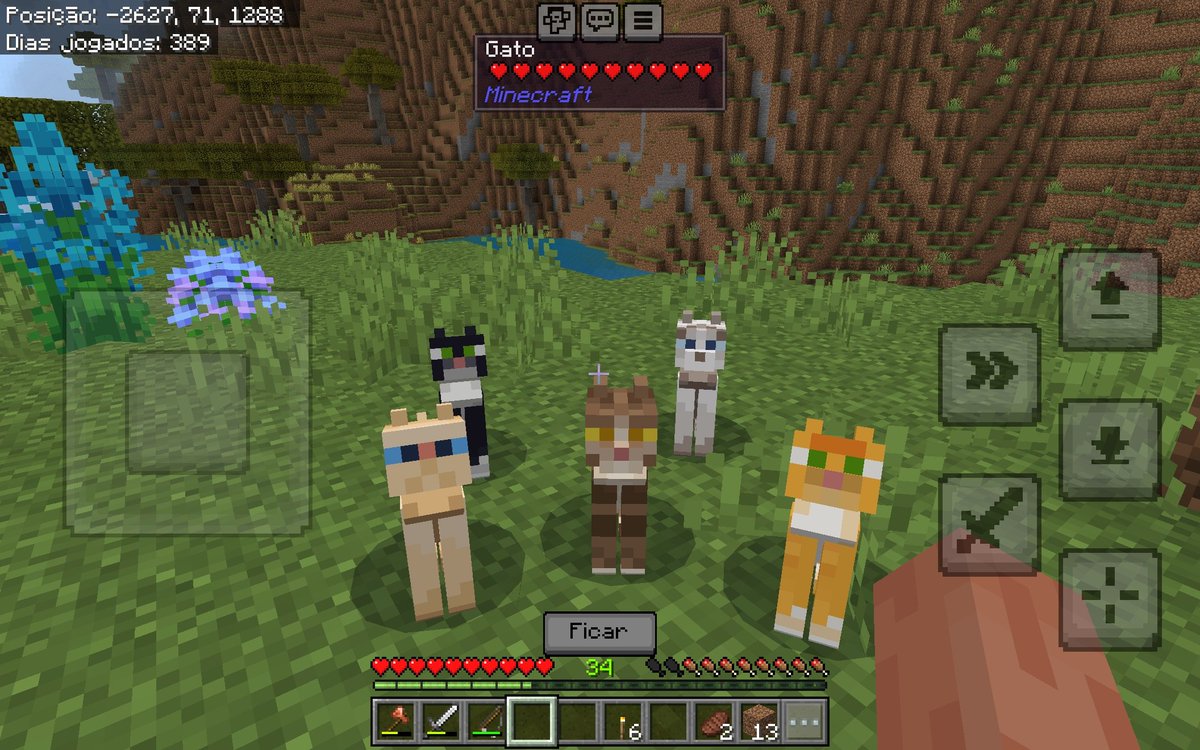 maria duda tweet media