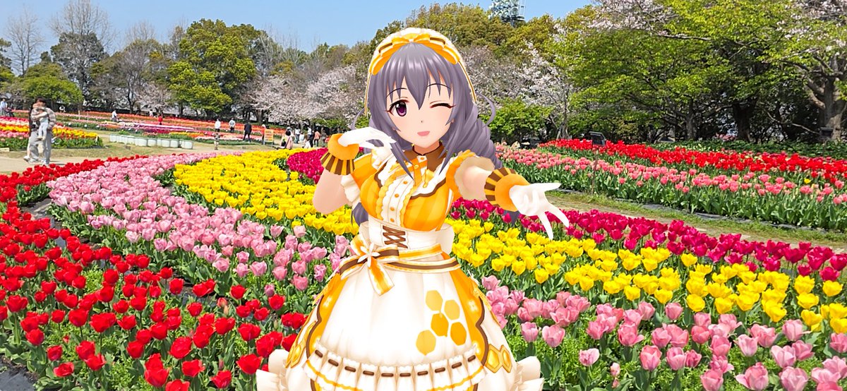 桐古堂 tweet media