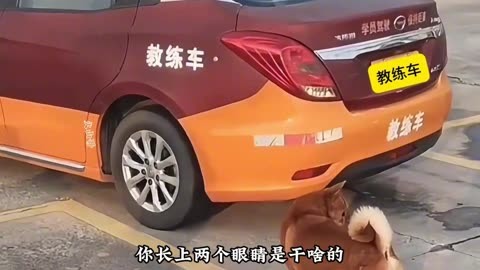 ดาา'เดิ้บบ tweet media