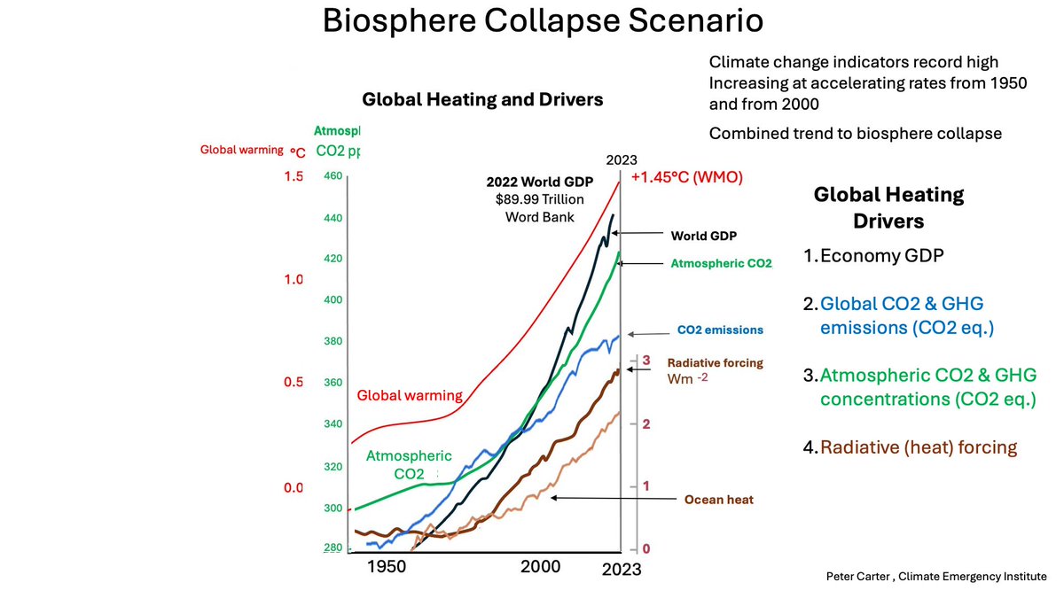 Peter D Carter tweet media