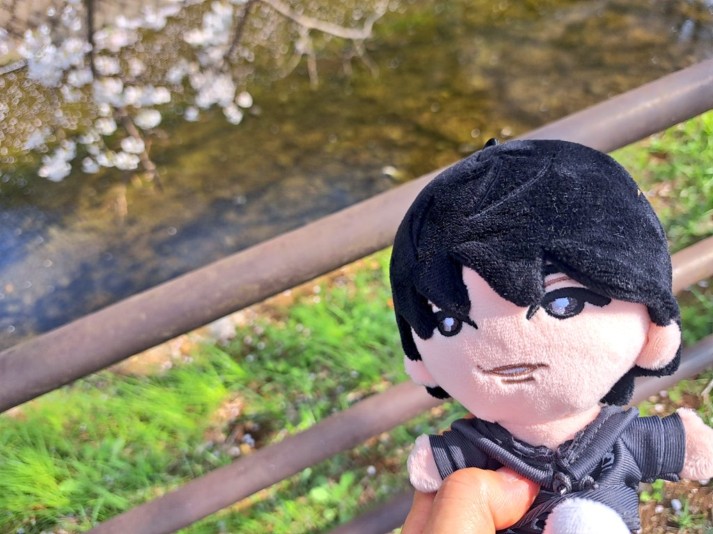 Honey(^3^)-☆J tweet media