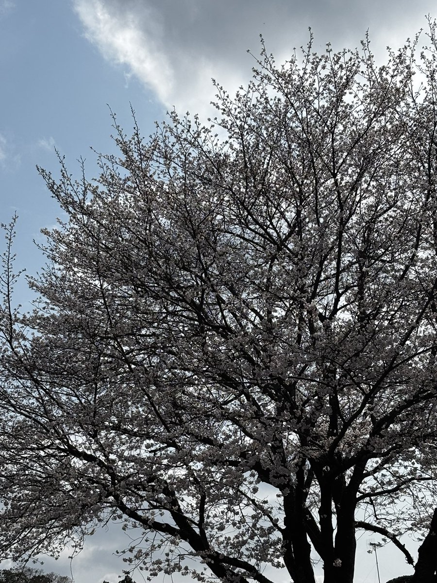 PEE🩵JAM tweet media