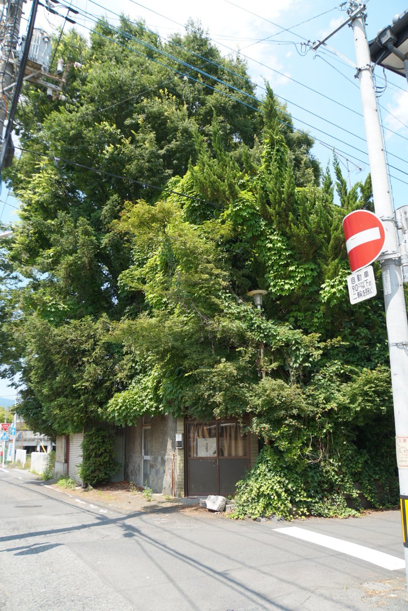 喫茶狐狸狐狸のモデルになった看板建築の建物を見てきましたが、一冬越したら窓が壊れるなどますます荒廃し危うい感じに…。
二枚目は2025年6月、三枚目は2023年6月です。
#リュウコミックス
#ねこむすめ道草日記
<a href="/ikenokappa/">いけ　ねこむすめ道草日記</a>
