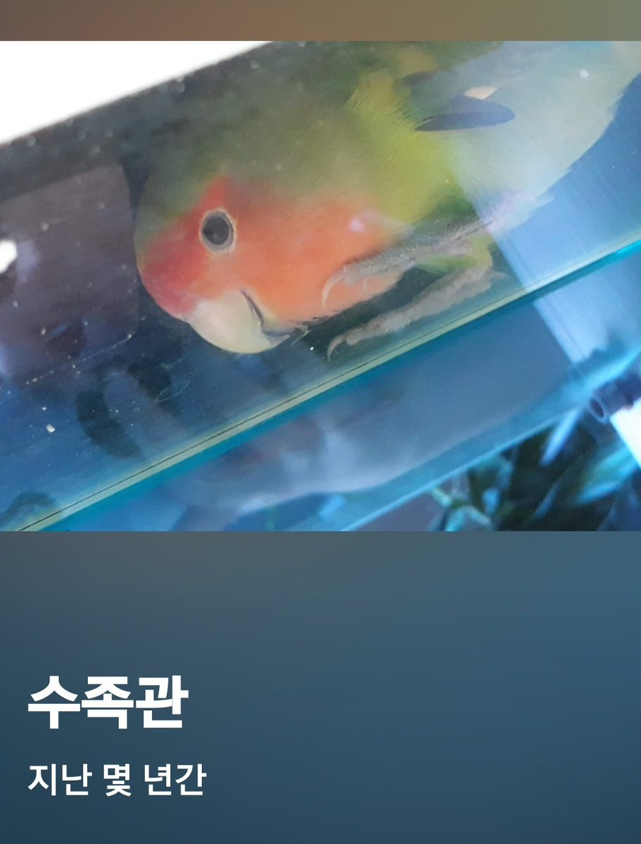 오리연못 tweet media