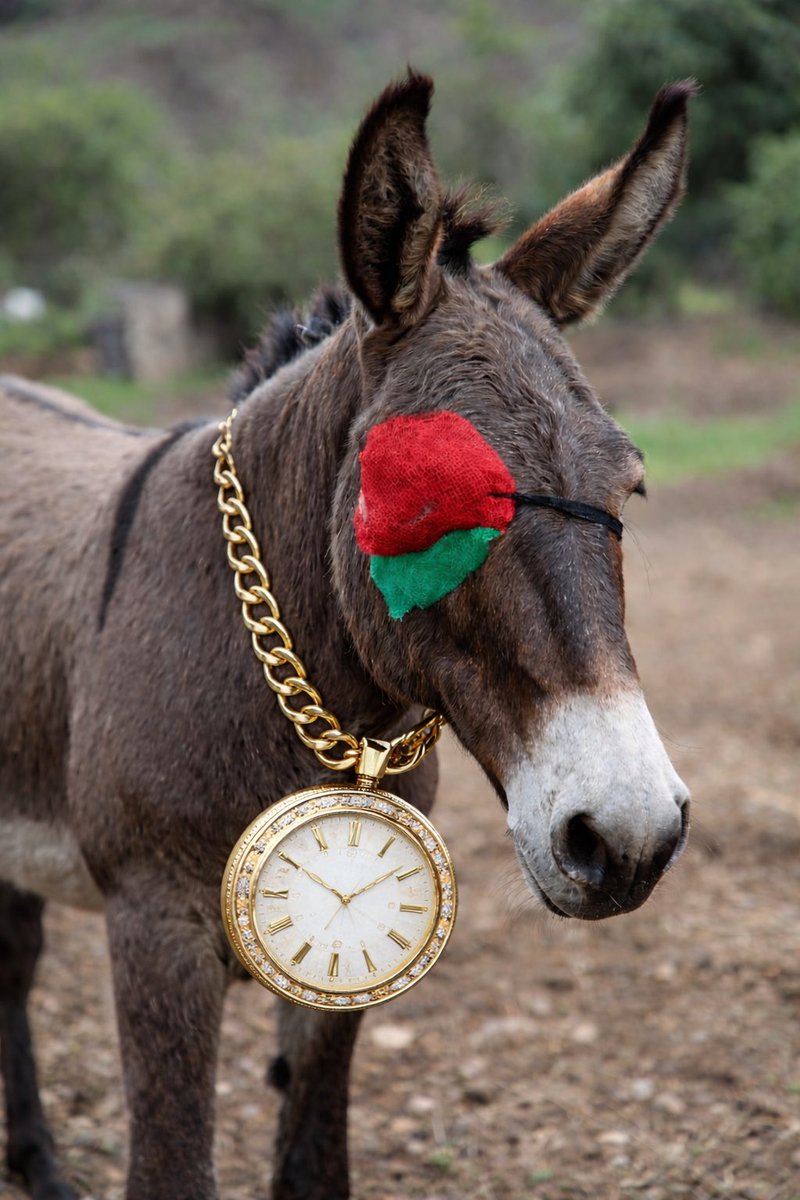 , Bhullar 🇵🇰♥️🇸🇦❤️ tweet media